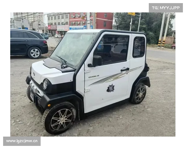 今年前5个月大阳电动四轮车产销同比增长17%